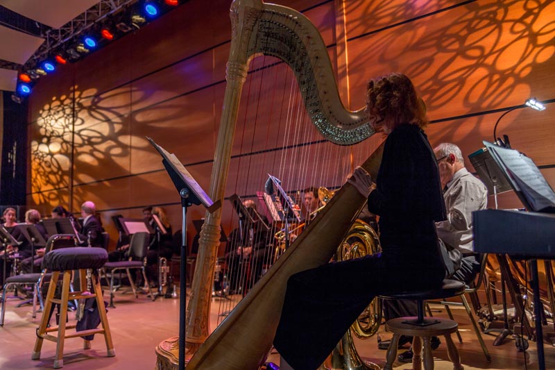 A harpist, illuminated by artistic stage lighting, performs with an orchestra. The musicians play various instruments on a modern wooden stage with a warm ambiance.