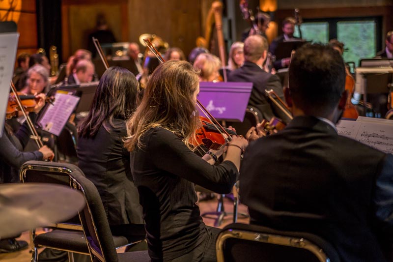 An orchestra performs on stage. Musicians are seated in rows, playing various string instruments including violins, violas, and cellos. The background shows other instrumentalists, contributing to a focused yet vibrant atmosphere.